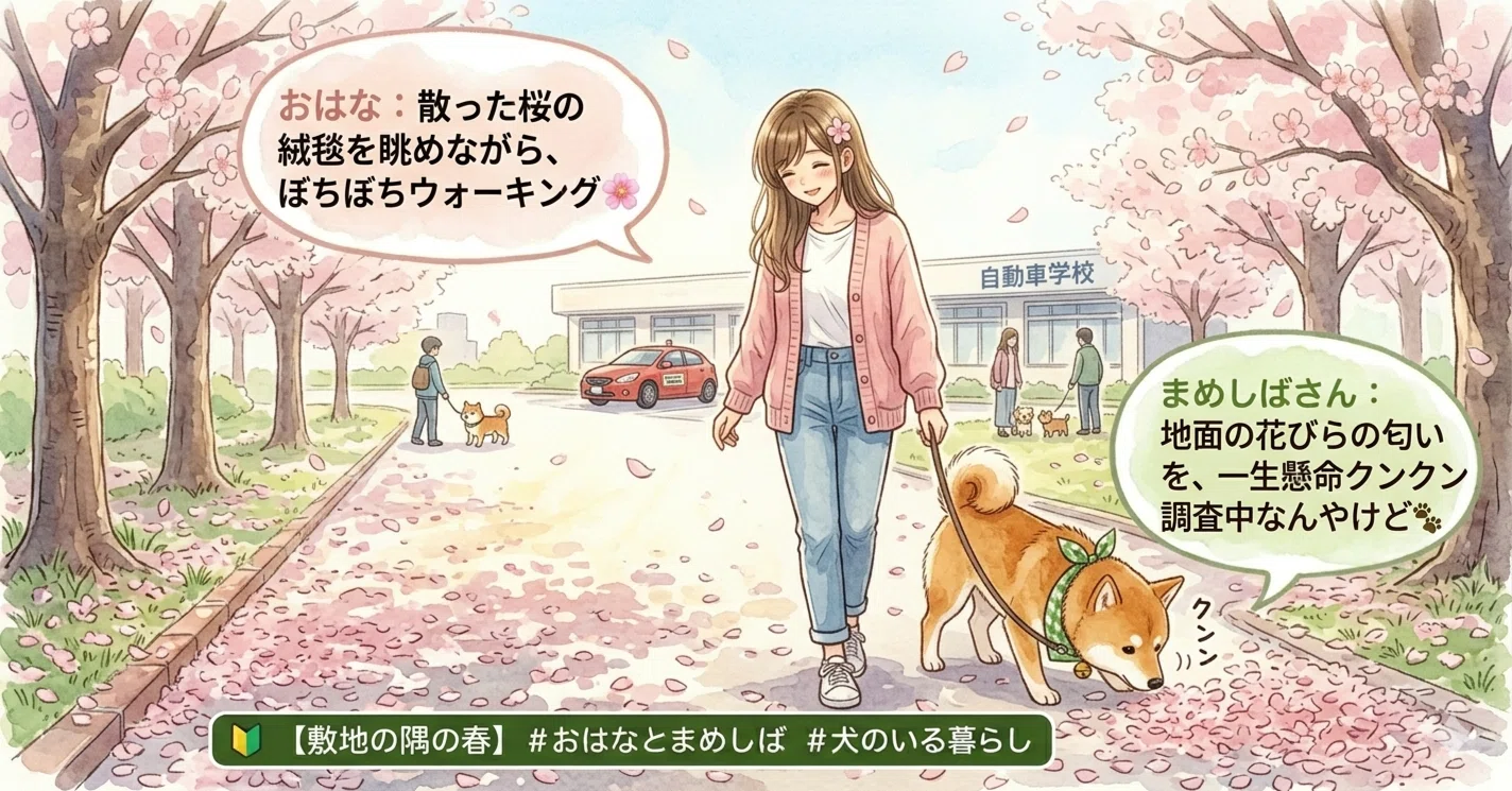 私とまめしばさんが、雨上がりの公園で散った桜を楽しみながら 