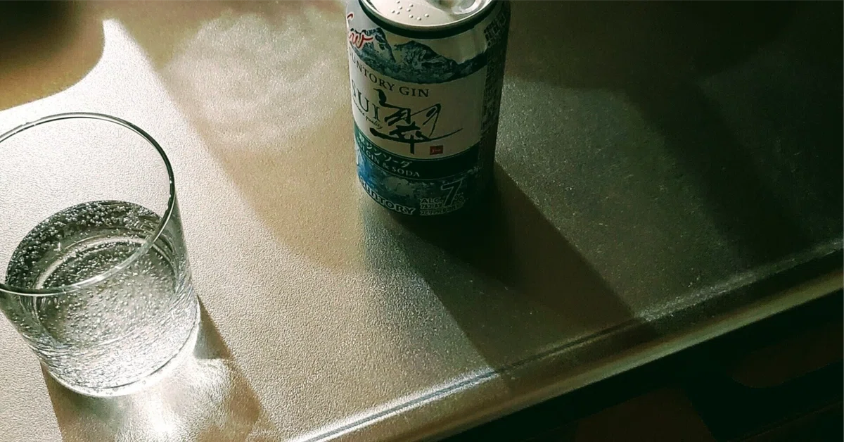 Techno and Gin Soda｜夏壽姫