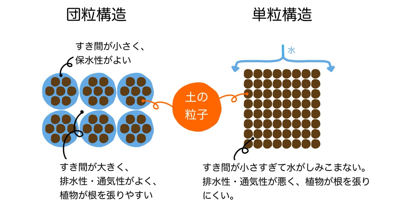 団 粒 構造 と は