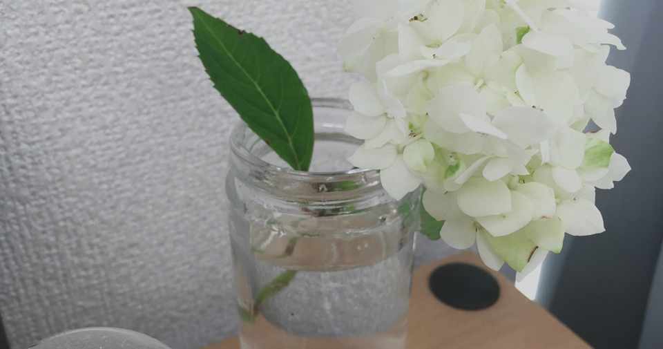 山紫陽花 花と結ぶ 夢と奇跡を叶えるちいさな契約関係 テイナ Note