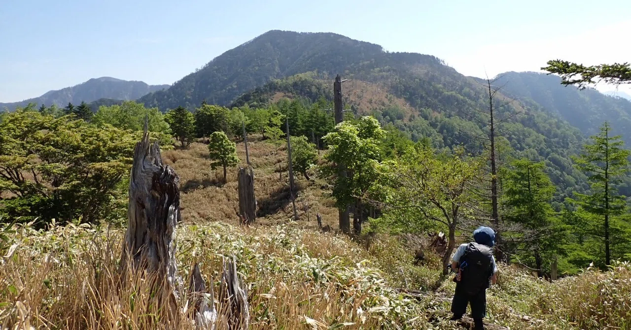 [Southern Alps Deep South] Kurozawa-yama to Shauzu-yama Loop | Tochu ...