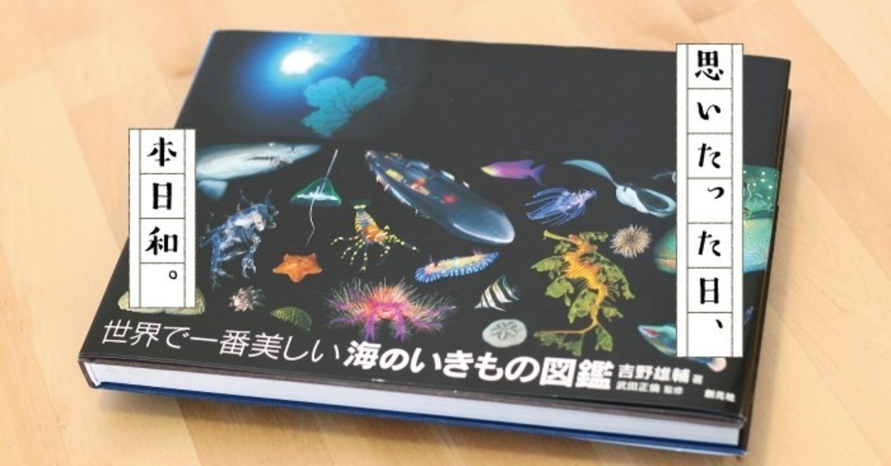 写真家と潜る命の世界 大暑 世界で一番美しい 海のいきもの図鑑 新日本カレンダー 広報室 Note
