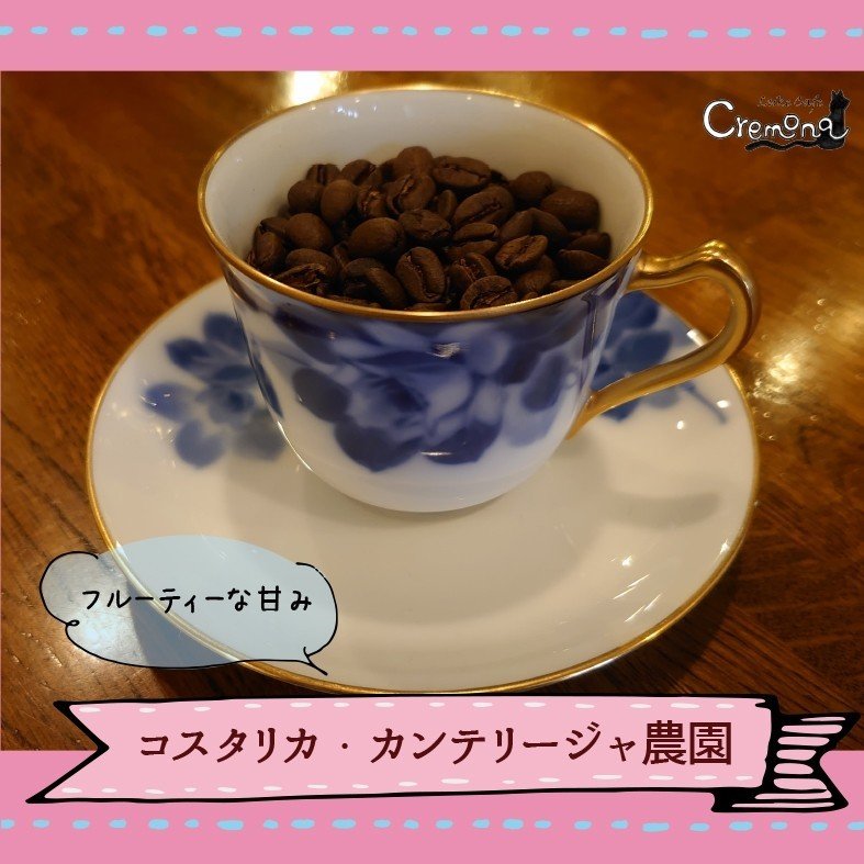 minne コスタリカ