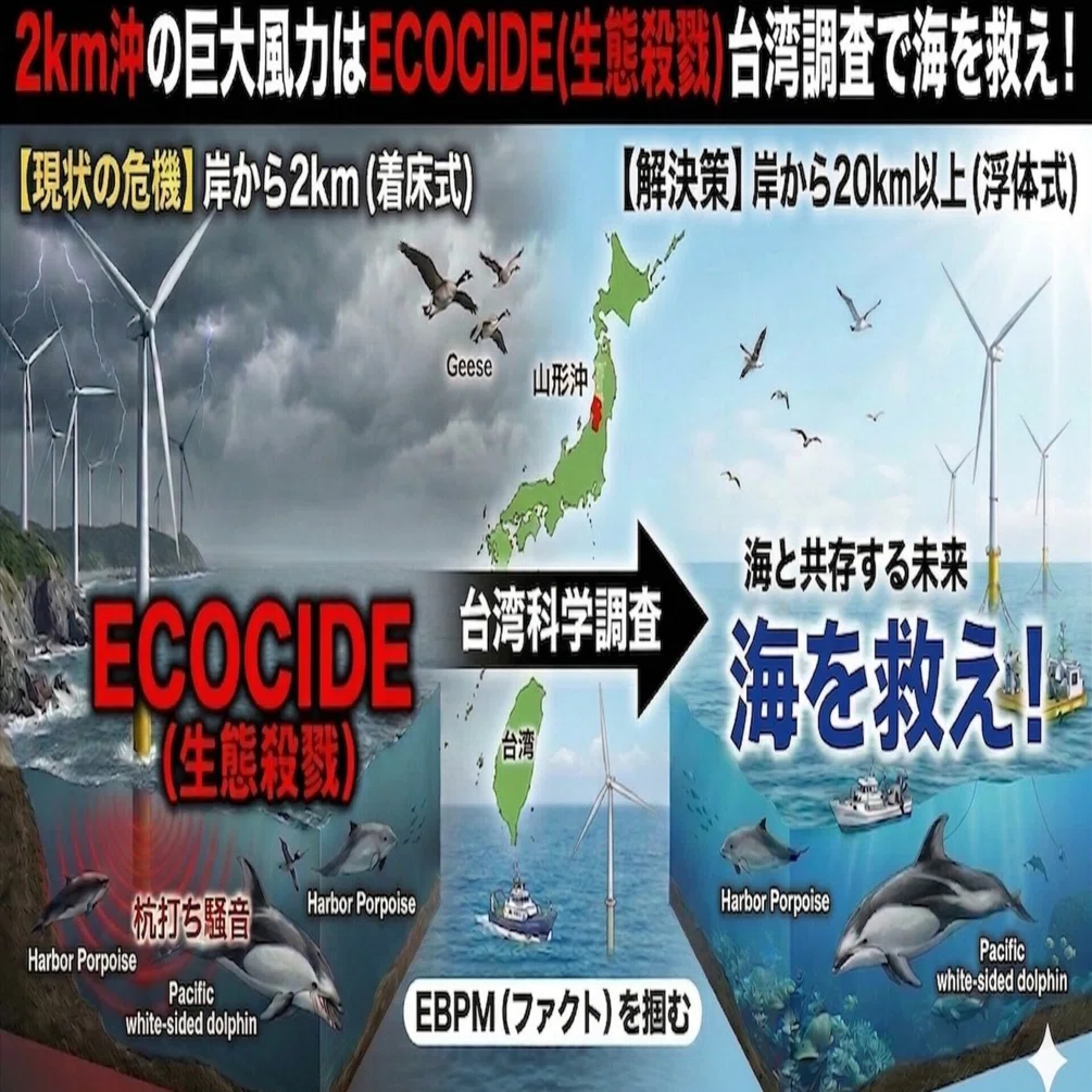 漂砂環境の創造に向けて 漂砂環境の創造に向けて Amazon.co.jp: 漂砂環境の創造に向けて