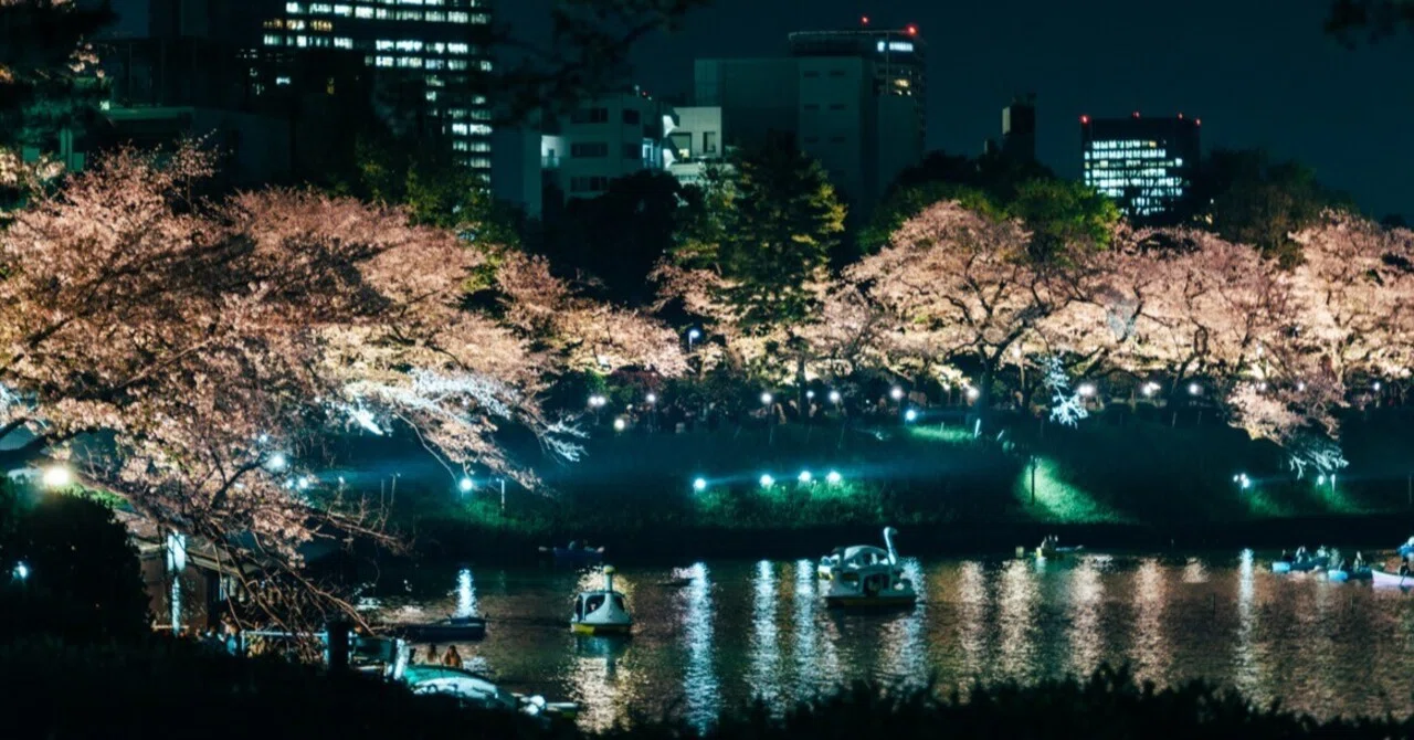 桜見物2026 その3】夜桜を求めて青山霊園〜千鳥ヶ淵｜Gon-III