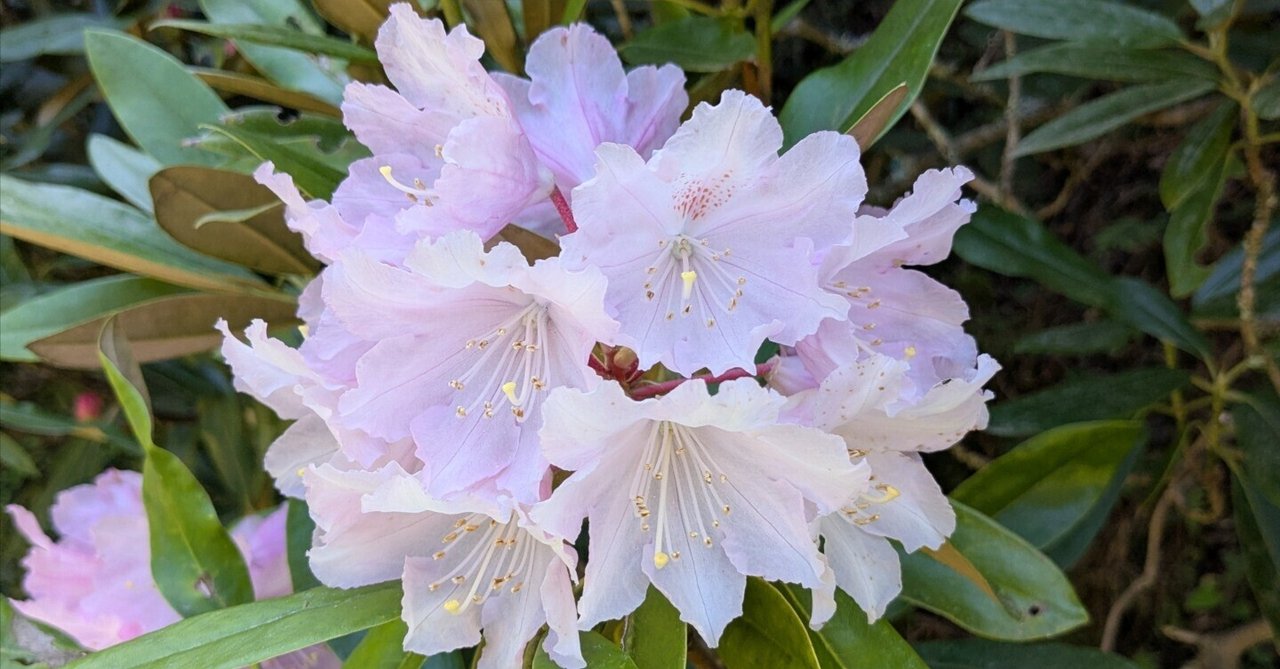 「【日記No.95】行きたかったのに、さすがに３日前では・・・💦」のサムネイル