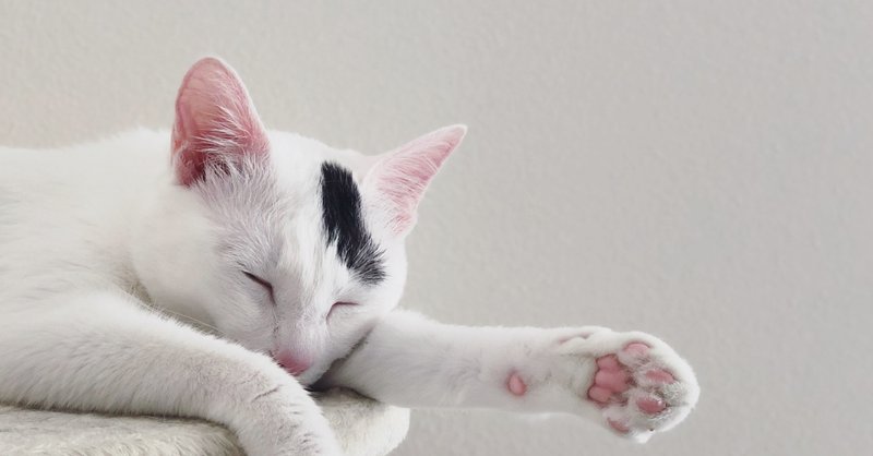 どうでもいい豆知識 の新着タグ記事一覧 Note つくる つながる とどける