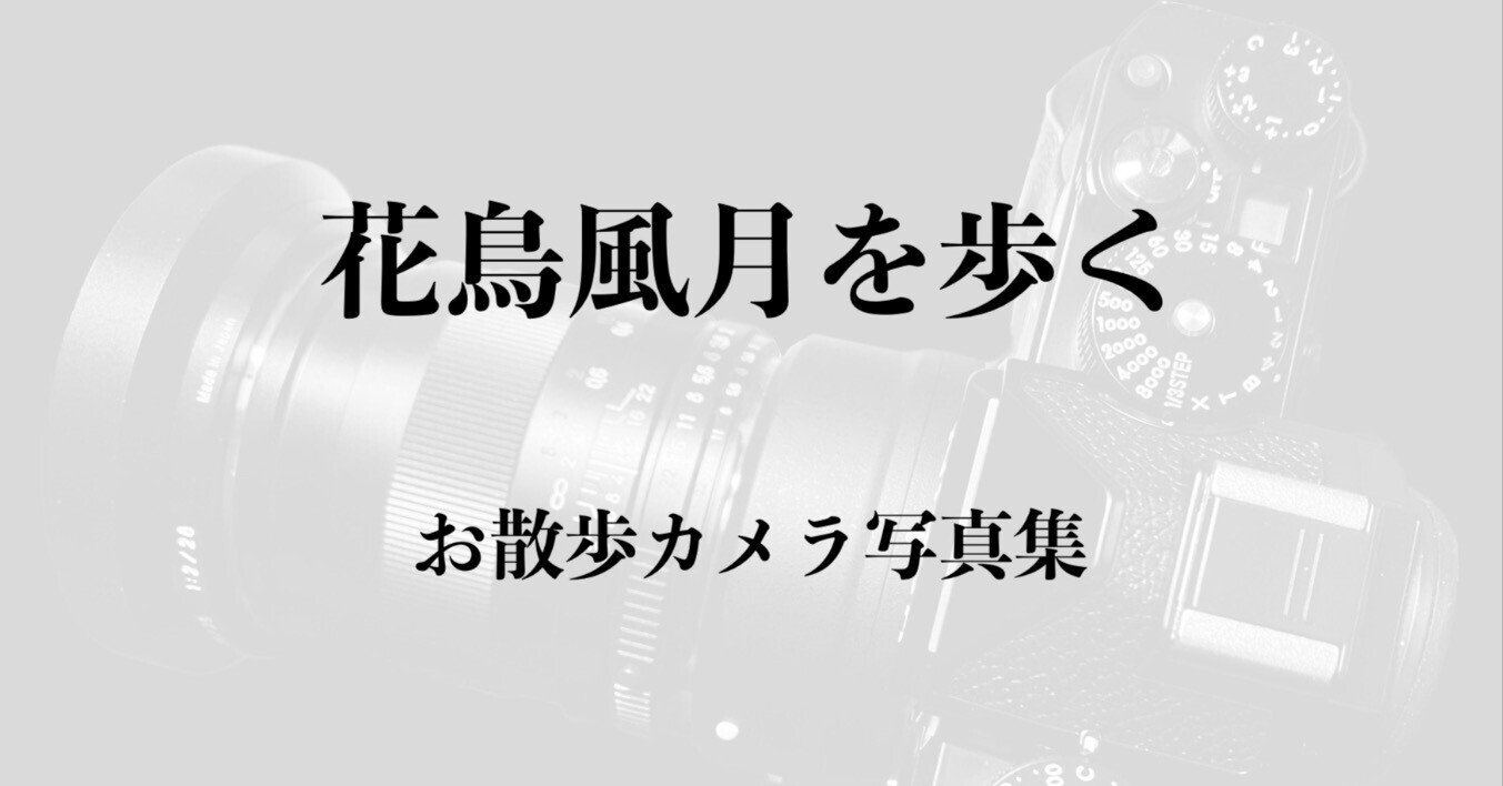 デジタルカメラ 花・鳥・月撮影 新刊「花鳥風月を歩く｜お散歩カメラ写真集」の登録完了｜西田親生