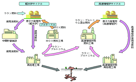 核燃サイクル