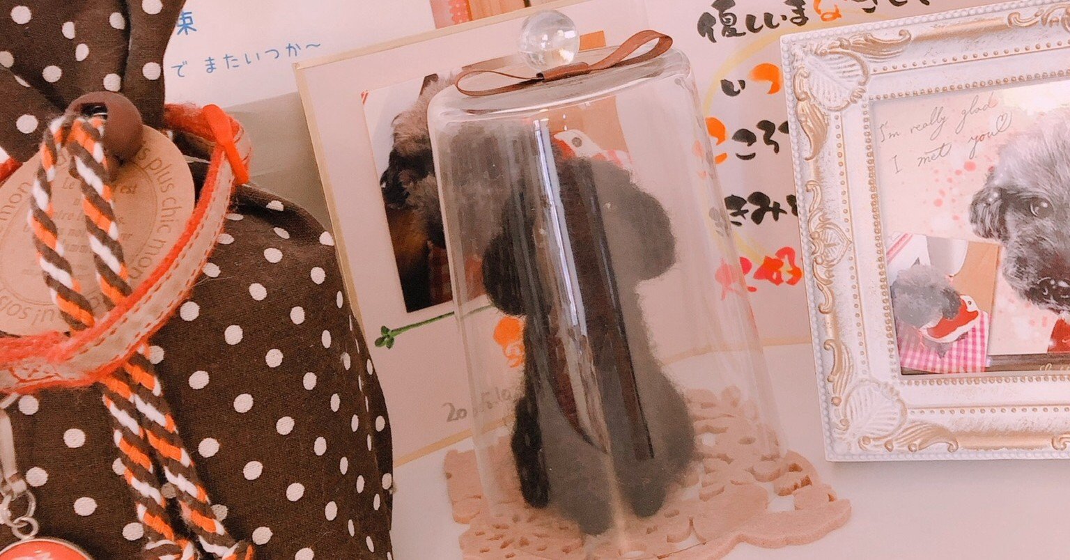 トリマーだった私がペットロスカウンセラーとして開業した理由 松永由美 ペットロスカウンセラー Note