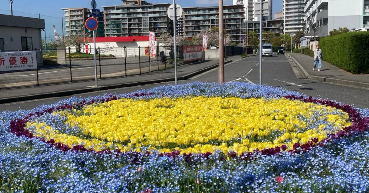 花様確認用 2026.4.11 チューリップ開花状況｜六甲アイランドチューリップ祭実行