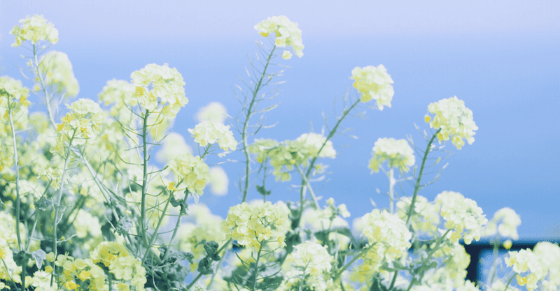 オススメ参考書３ 佐々木隆宏の数学の発想力が面白いほど身につく本 大北あきや Note