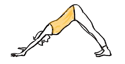 ヨガポーズ辞典 太陽礼拝編 Studio Yoggy Note