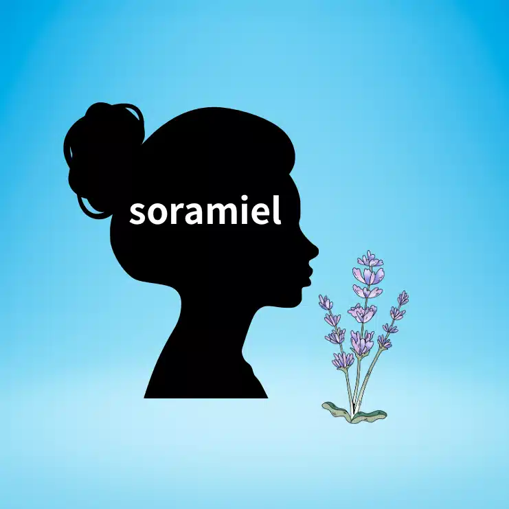 sora miel