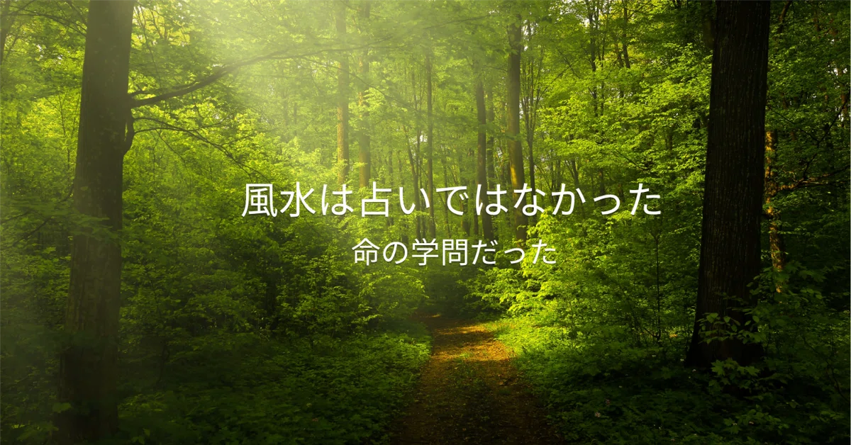 見出し画像