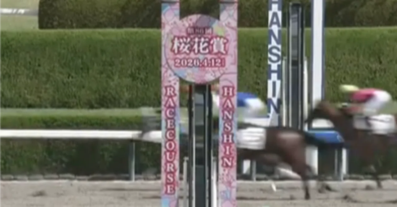 桜花賞 2026 サイン探し＝ 前日の阪神牝馬Sの結果が教えていた｜宮兼