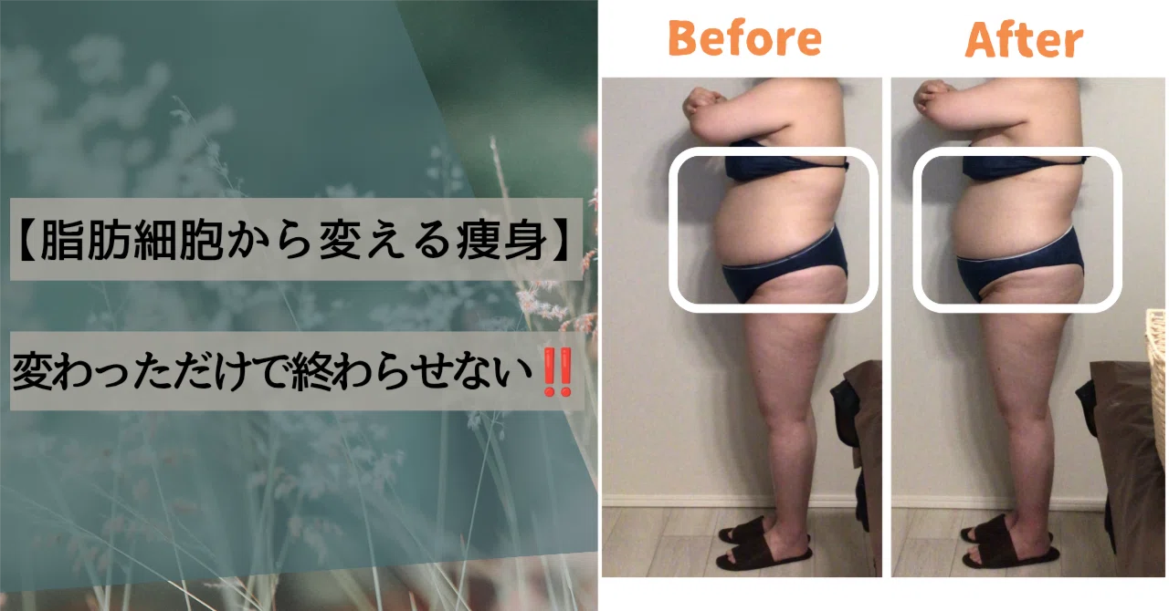 脂肪細胞から変える痩身】変わっただけで終わらせない‼️｜あなたの