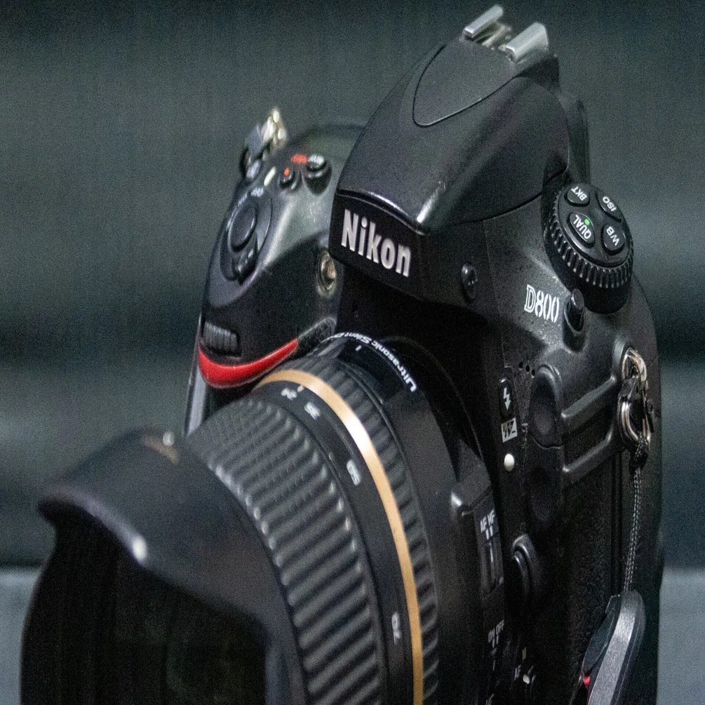 Nikon D800は今でも使える？｜カズホ
