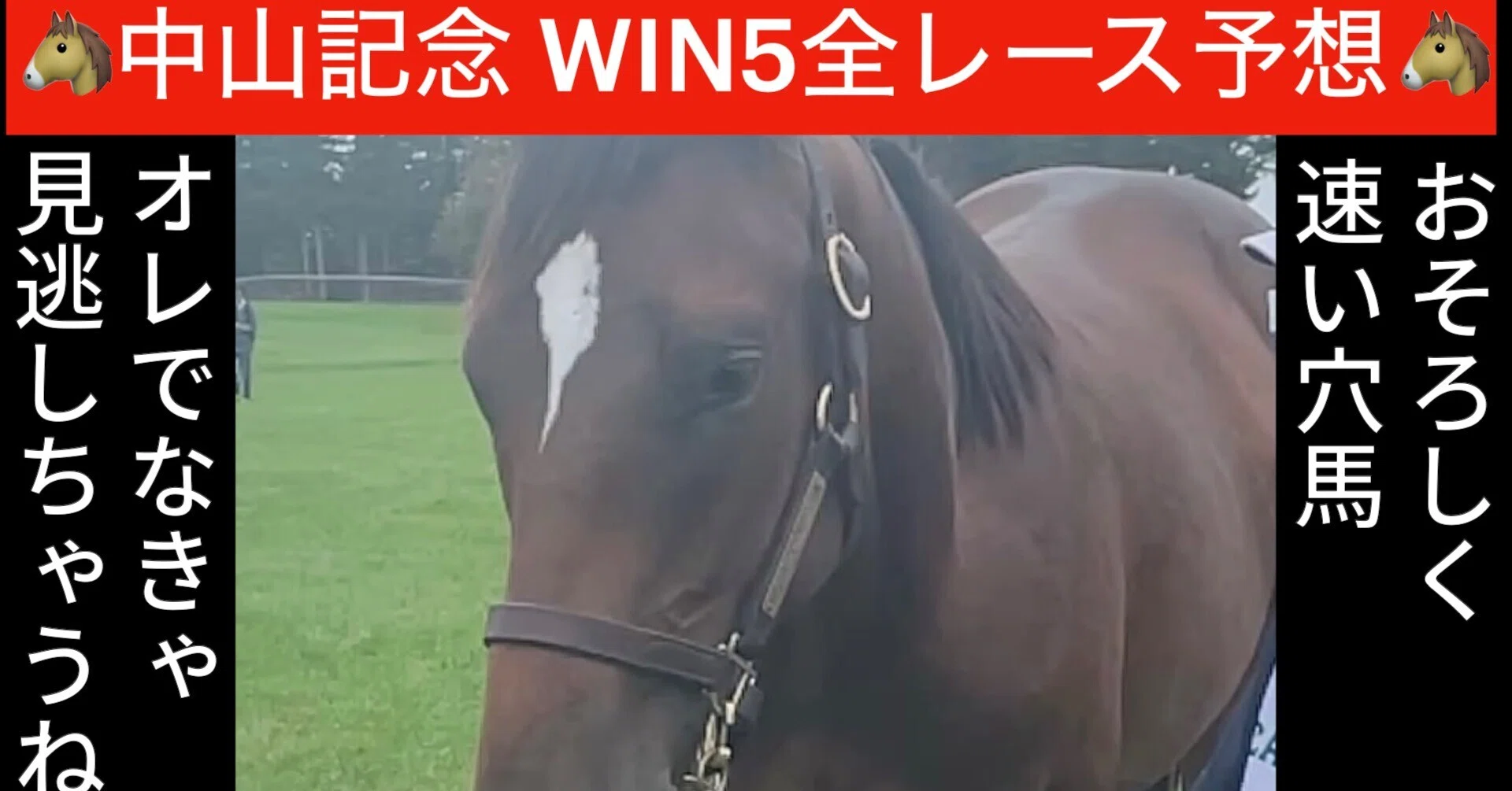 WIN5】桜花賞ほかWIN5全レース予想‼️両メインは穴狙いオレでなきゃ