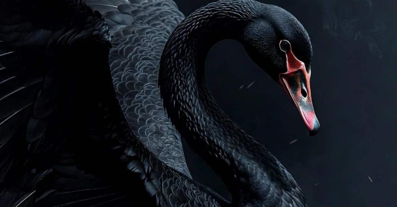 「黒鳥の影を追う」 黒鳥の飛跡 ー VIX｜𝔾𝕠𝕝𝕕 𝕃𝕠𝕔𝕜𝕤 恐怖指数研究所