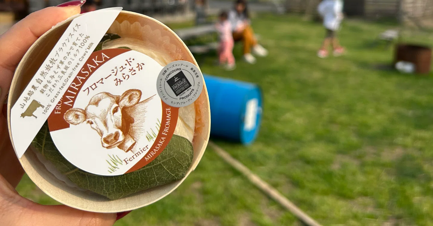 Meeting World-Class Cheese Again from Hiroshima [Hiroshima Drive