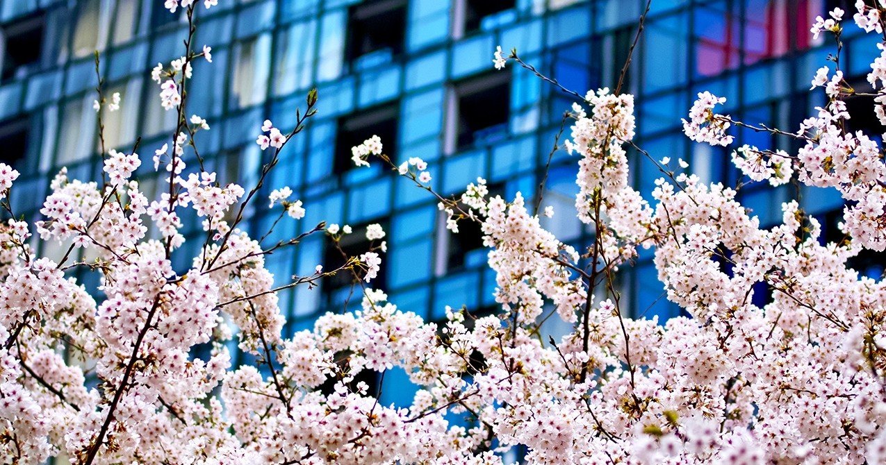 Mac Finderのタグ付けをショートカットで オオタ Note