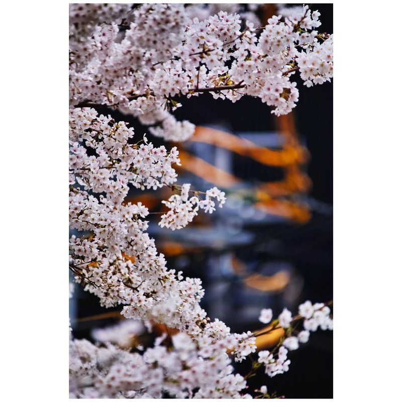 Mac Finderのタグ付けをショートカットで オオタ Note