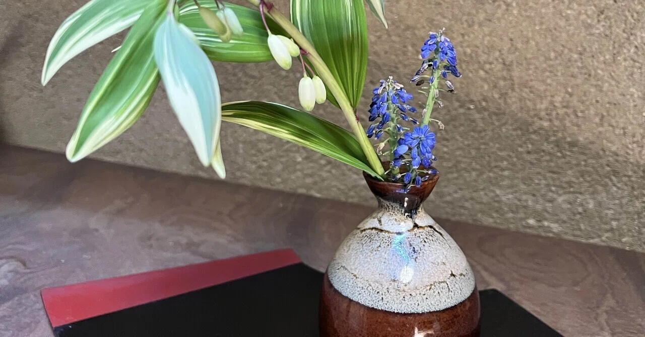 茶花の密かな愉しみ｜京とき