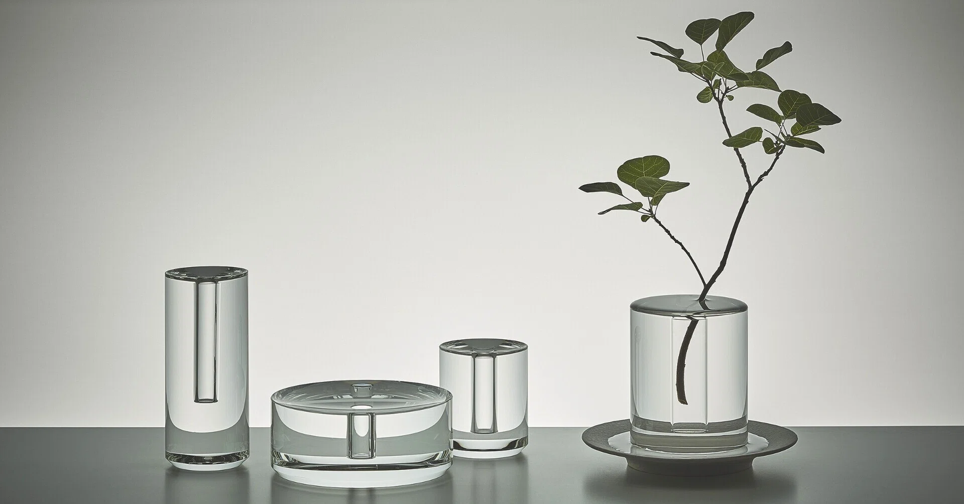境界線が溶けていく。水と花器、植物が一体となるフラワーベース