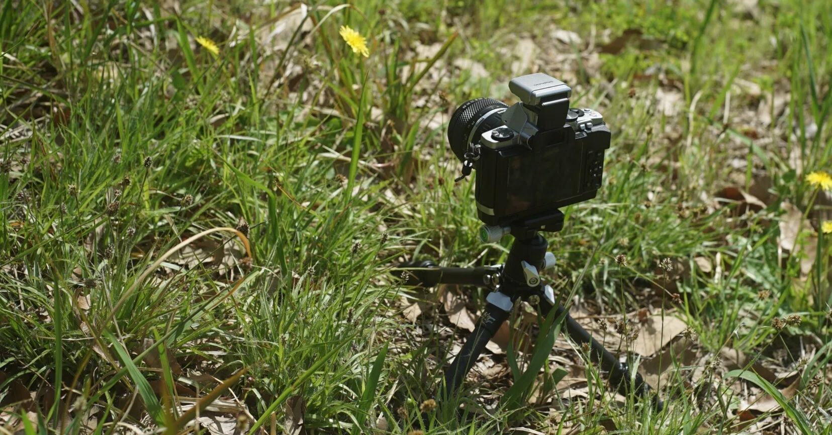 登山用にFotoproカーボンミニ三脚 P-2 mini レビュー｜アトリエデルタ