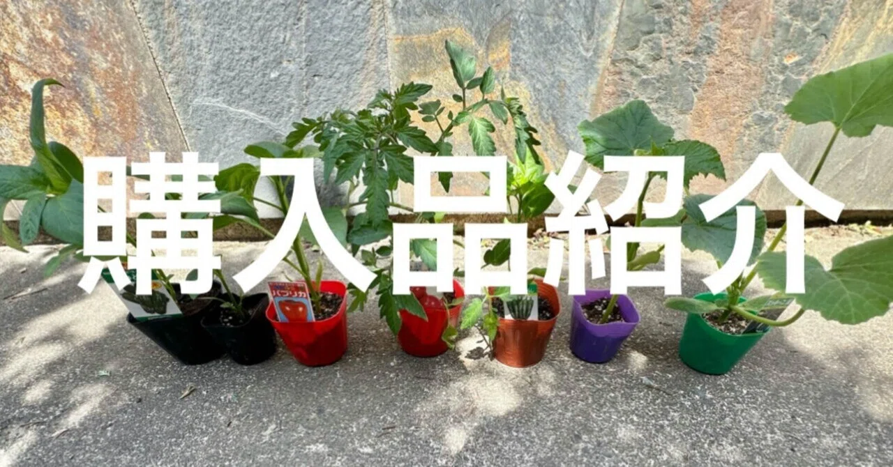 家庭菜園】夏野菜の苗、購入品紹介🌱 （全部でいくら？）｜畑実験OL