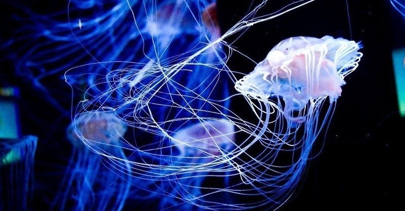 量は質に転化する の真意を考えてみる エルモ marketing media lab note