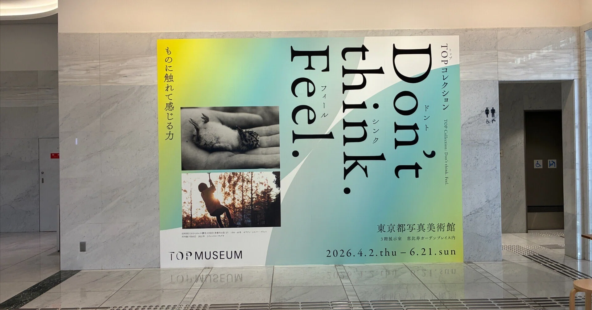 写真展】TOPコレクション Don't think. Feel. 【東京都写真美術館