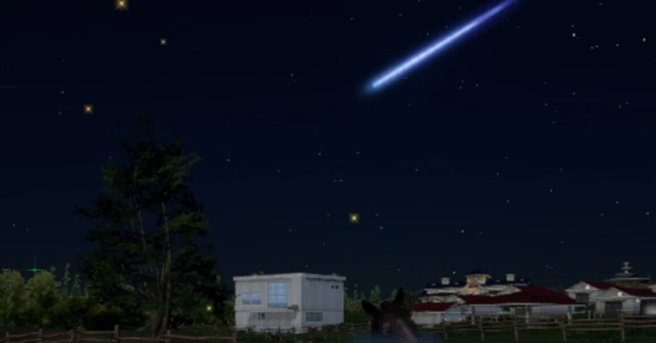 WP10 2026】流星の如く光速の幼駒が誕生？！0歳馬紹介【常時更新 