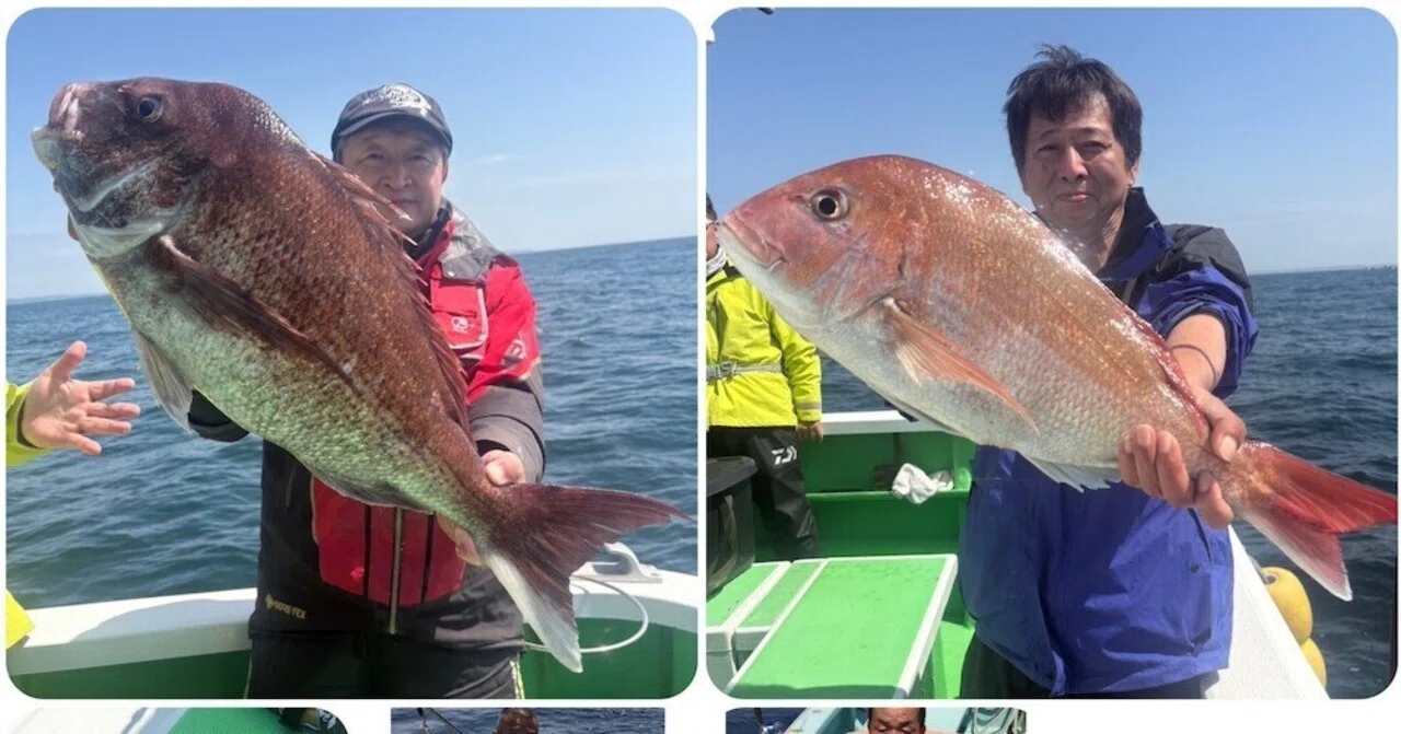 マダイ】最大4.6kg、さらに3.5kg!大型続々ヒット中!|あまさけや丸 マダイ】最大4.6kg、さらに3.5kg!大型続々ヒット中!|あまさけや丸