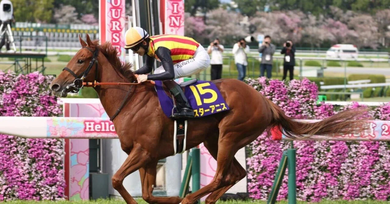 レース結果】桜花賞 2026：2歳女王スターアニスが圧巻の完勝！直行