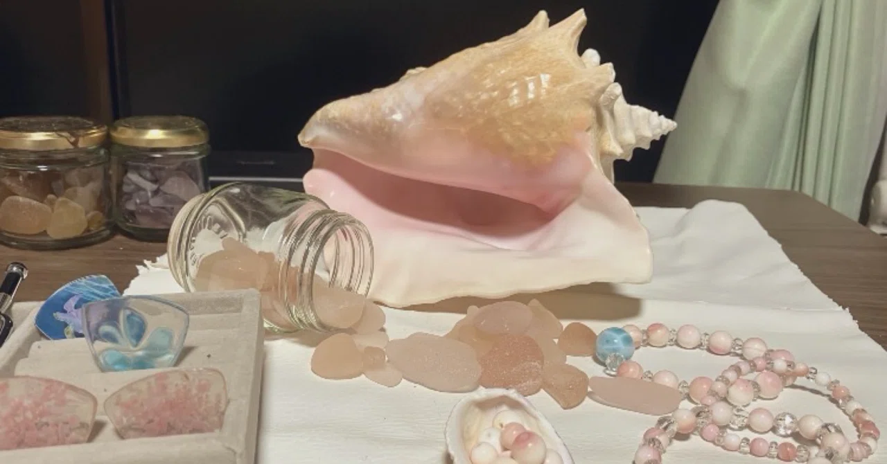 気まぐれハンドメイドnote・クイーンコンクシェルのこと｜浦風