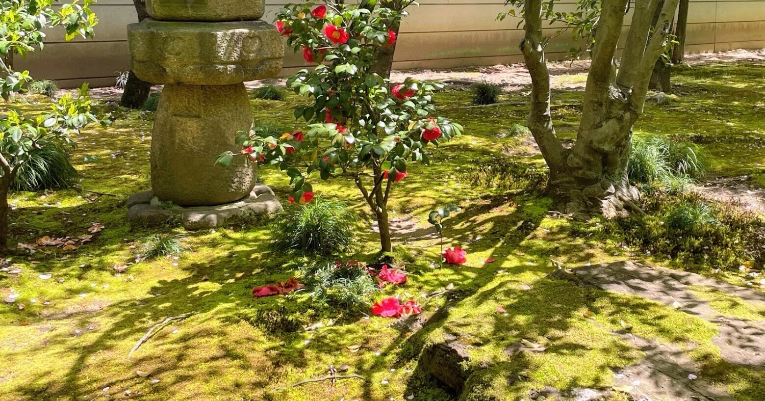 Exhibition Report] Modernity at Shokoku-ji Temple / Jotenkaku