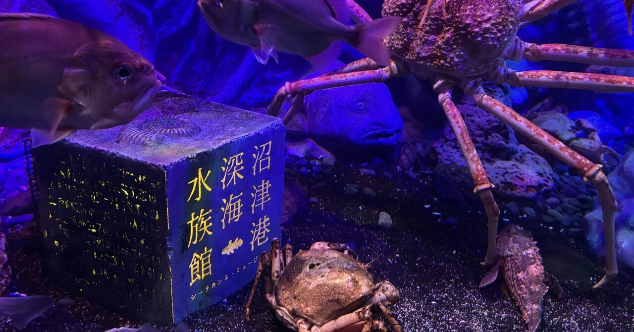 子連れでお出かけ】沼津港深海水族館〜ドラえもんを添えて〜｜4児ママ