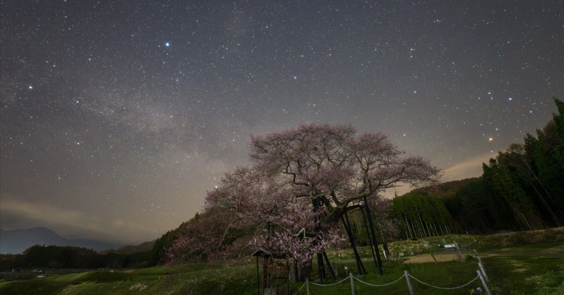 長野県高山村の桜と星空｜星空写真家 × 会社役員 | 「好き」を「得意