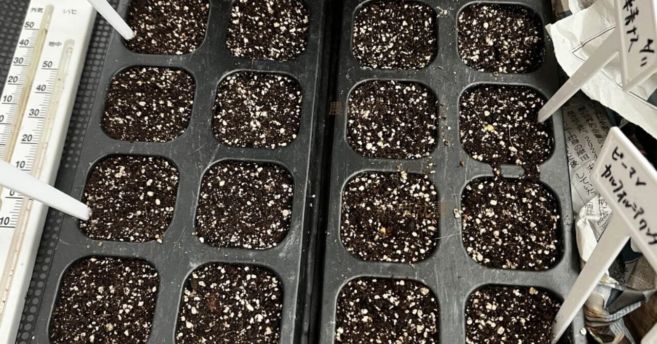 種まき、鉢上げ、定植しましょう週間です♪｜チームりんでん