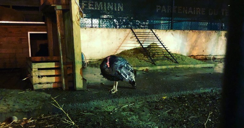 ねじまき鳥クロニクル オーデコロンの謎 Yuta Watanabe Note