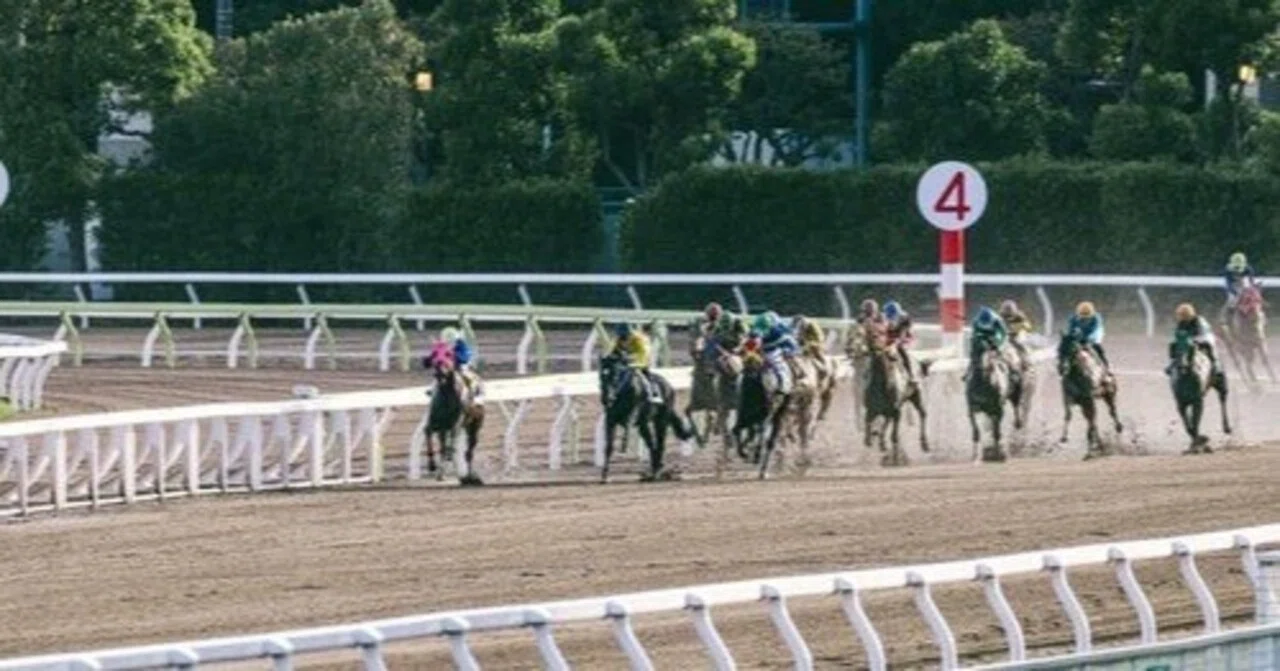 4月13日（月）地方競馬（大井競馬7～12R）｜KANA企画