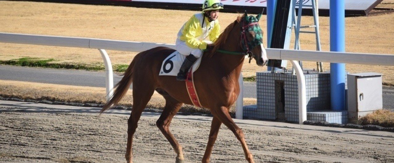 藤田菜七子騎手がかなり乗れる件について はっちぃ 秘密結社ふえがむ Note 藤田菜七子騎手がかなり乗れる件について はっちぃ 秘密結社ふえがむ Note