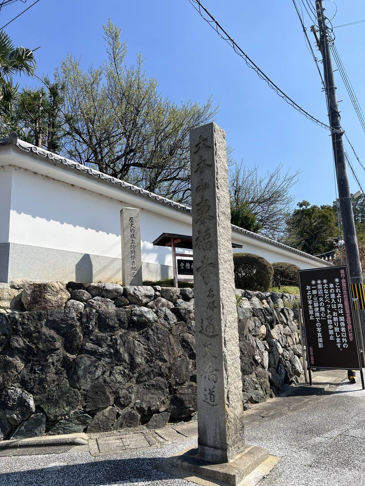 京都2026春③ 禅と薩摩の眠る場所、東福寺｜時空を超える感性翻訳家