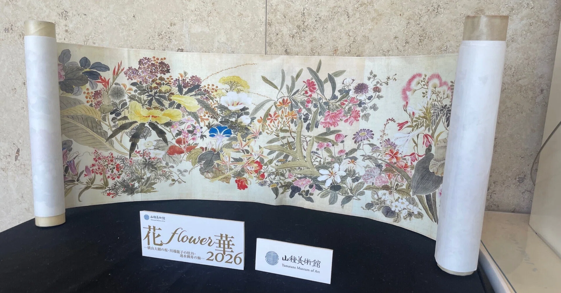🎨絵画でお花見☺️ in 山種美術館｜はっちゃんLIFE