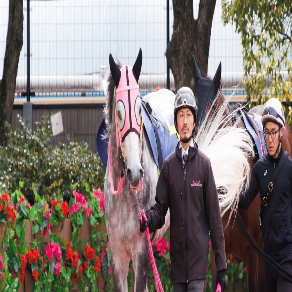 前走馬券外の馬を狙う 地方競馬（大井・笠松・園田） 4/14｜チェルシー