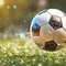 池田慧信｜サッカー教育経営者