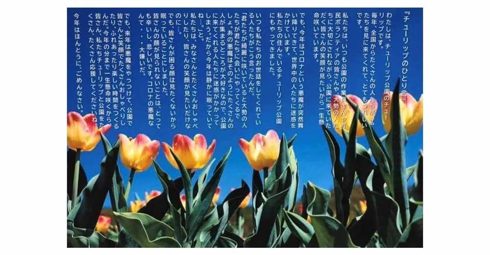 Withコロナ時代の北海道ビジネス入門 無念の摘み取り チューリップのひとり言 湧別町 かみゆうべつチューリップ公園 Asia Business Consultant 清宮 克良 Note