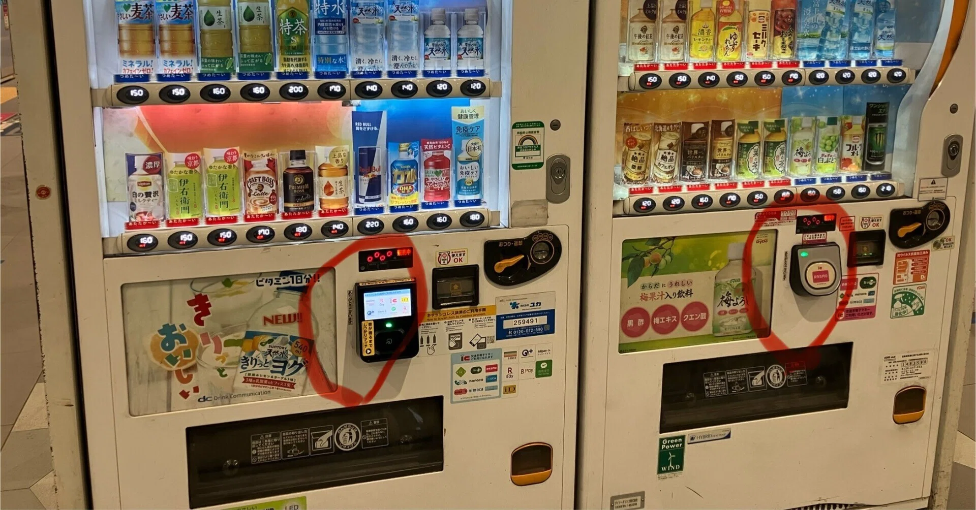 東京中に謎のシールが貼られている』 好きのワケ13｜渡鳥秋